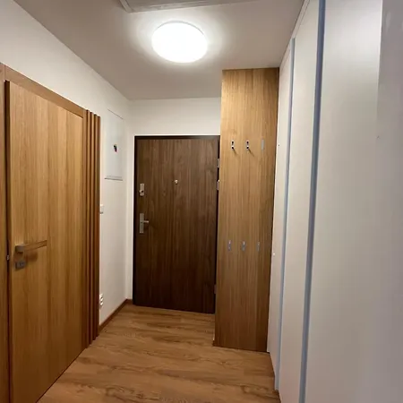 Apartment Bayerova *