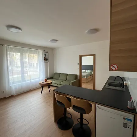 Bayerova Apartment